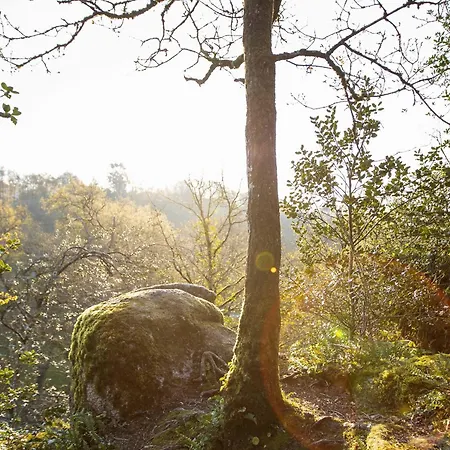 Studio Renove Avec Terrasse Privee En Bord De Sevre - - Fr-1-426-484 *