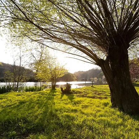 Studio Renove Avec Terrasse Privee En Bord De Sevre - - Fr-1-426-484