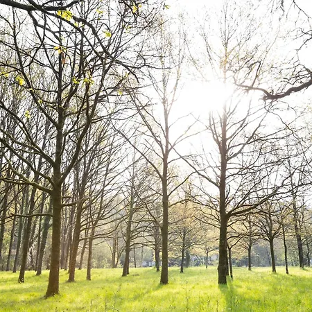 Studio Renove Avec Terrasse Privee En Bord De Sevre - - Fr-1-426-484 Vakantiehuis *