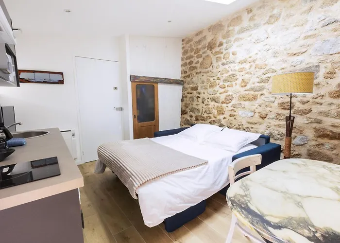 Renove Avec Terrasse Privee En Bord De Sevre - - Fr-1-426-484 Mortagne-sur-Sevre