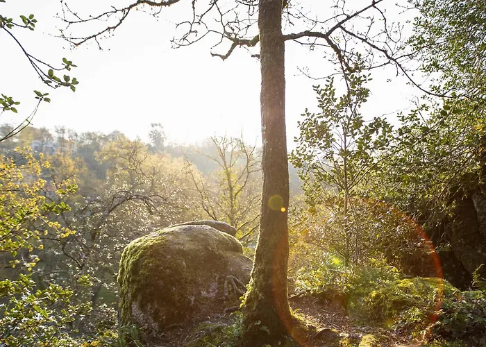 Renove Avec Terrasse Privee En Bord De Sevre - - Fr-1-426-484 *