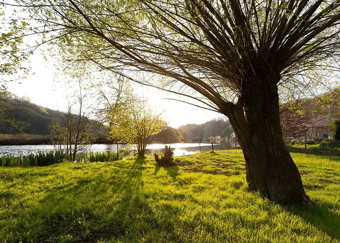 Renove Avec Terrasse Privee En Bord De Sevre - - Fr-1-426-484